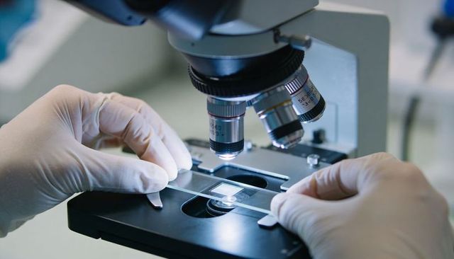 Preparing microscope slide under objective lens with gloved hands for laboratory research