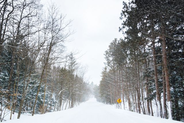 Snow-covered road stretching through a dense forest with tall trees on both sides. Ideal for depicting winter travel, seasonal beauty, remote wilderness exploration, or conveying a sense of calm and solitude.
