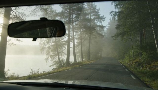 Driving misty lakeside road through pine forest seen through car windshield morning fog empty road