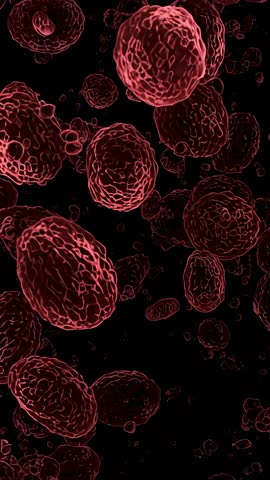Red Cellular Discs Drifting in Dark Void | Animated Microscopic Cells Vertical Video