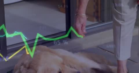 Woman Comforting Dog with Health Data Overlaid