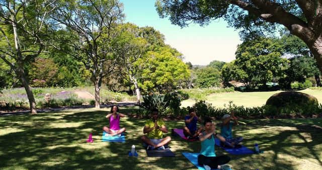 Group Yoga Session in Lush Green Park - Download Free Stock Images Pikwizard.com