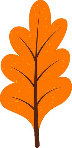 Stylized Orange Oak Leaf Illustration on Transparent Background - Download Free Stock Videos Pikwizard.com