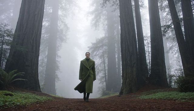 Solitary figure walking through misty ancient redwood forest in long green overcoat