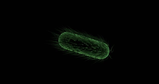 Green bacterium magnified and displayed against black background. Excellent for scientific presentations, education documents, microbiology studies, research papers, medical illustrations, and health-related articles.