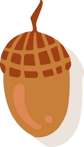 stylized acorn in flat design with transparent background - Download Free Stock Videos Pikwizard.com