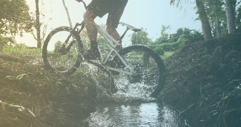Cyclist Riding Through Water in Nature Setting - Download Free Stock Images Pikwizard.com
