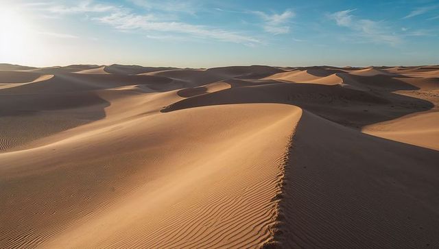 Golden sand dune ridge at sunrise showing rippled slopes and wind-sculpted desert textures