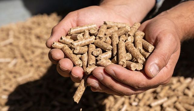 Hands holding wood pellets for sustainable biomass fuel close up in sunlit storage