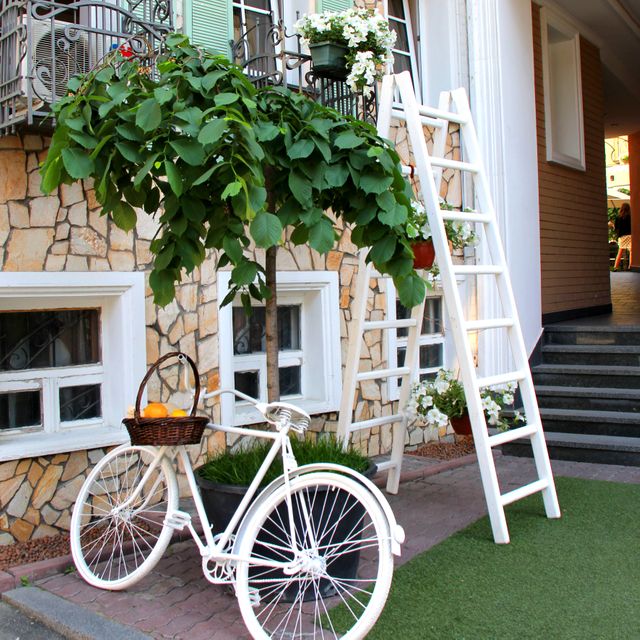 White Step Through Bicycle Leaning Beside Tree Plant - Download Free Stock Photos Pikwizard.com