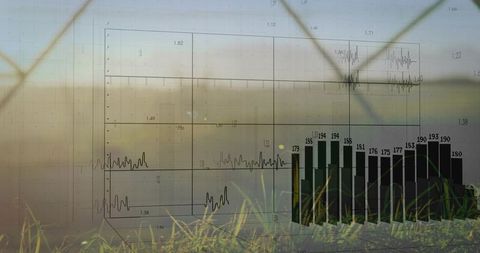Transparent Data Overlay on Rural Field with 3D Bar Chart, Waveform & Wireframe Grid, Grass