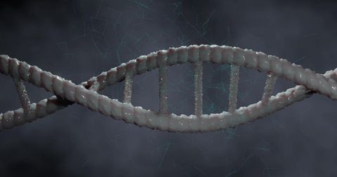 Close-Up of DNA Strand with Digital Interface Elements - Download Free Stock Images Pikwizard.com