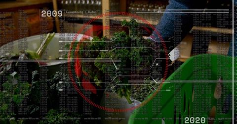 Shopper selecting fresh kale with digital data overlay