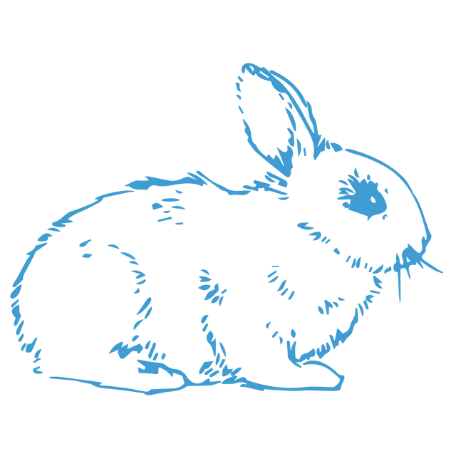 Transparent Blue Rabbit PNG Illustration - Download Free Stock Videos Pikwizard.com