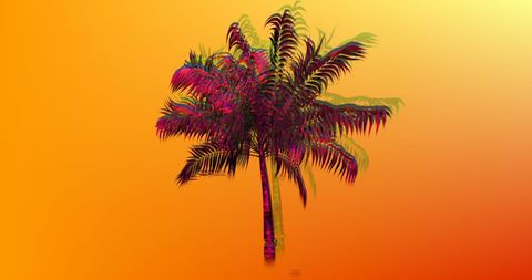 Vivid palm tree illustration with gradient background