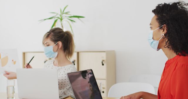 Female Colleagues Wearing Face Masks Working in Office - Download Free Stock Images Pikwizard.com