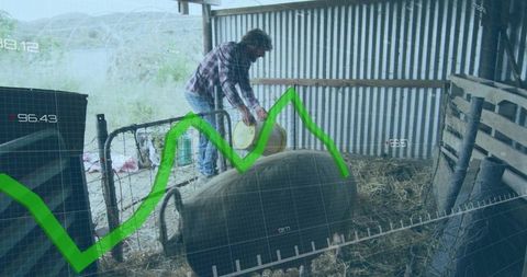 Farmer Pouring Feed for Pig in Sustainable Livestock Farm