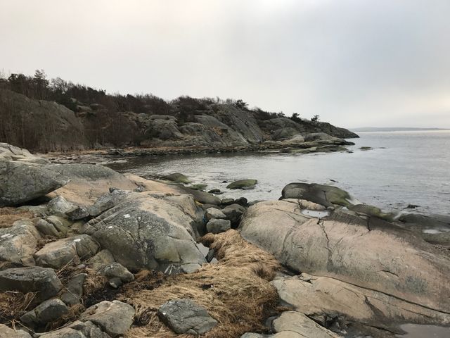 Rocky Coastal Landscape on Overcast Day - Download Free Stock Images Pikwizard.com