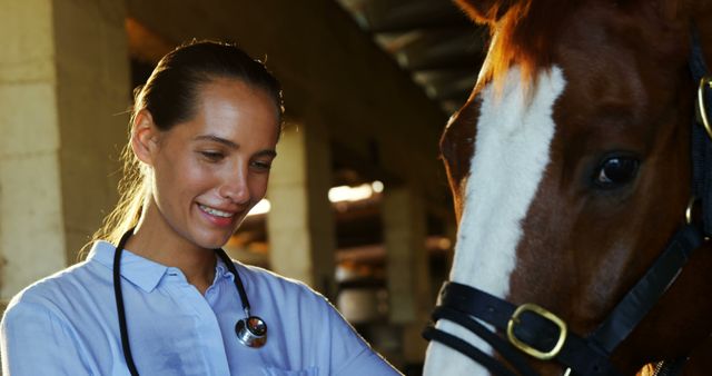 Female Veterinarian Caring for Horse in Barn - Download Free Stock Images Pikwizard.com