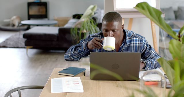 Young Professional Working from Home While Drinking Coffee - Download Free Stock Images Pikwizard.com