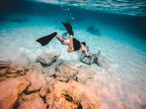 Snorkeling adventure over coral reef under crystal clear water