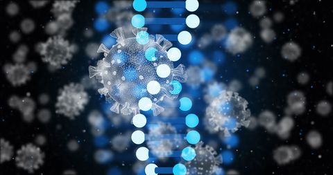 Digital Representation of Virus and DNA Sequences - Download Free Stock Images Pikwizard.com