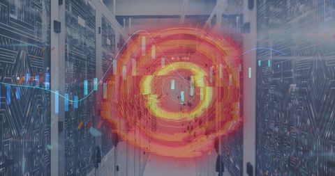 Scope Scanning and Data Processing in Server Environment - Download Free Stock Images Pikwizard.com