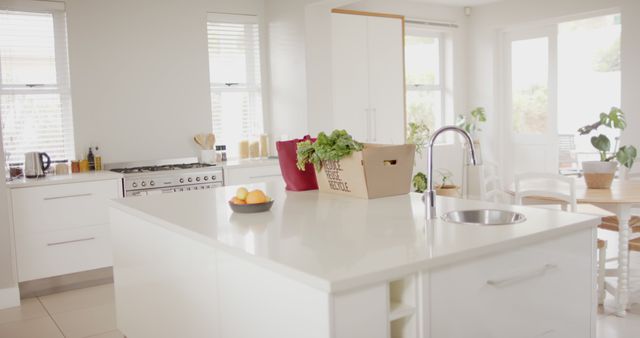 General view of light modern interiors with kitchen, copy space, slow motion. Home decor, interiors, lifestyle concept.