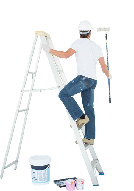 Transparent Full Length Rear View of Man Painting on Ladder with Roller - Download Free Stock Videos Pikwizard.com