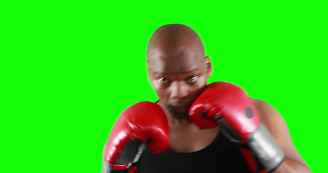 Focused Boxer Training with Red Gloves on Green Screen Background - Download Free Stock Images Pikwizard.com