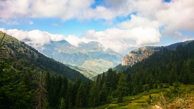 This picturesque image depicts a lush green forest in a mountain valley with a cloudy blue sky. Ideal for use in campaigns promoting outdoor activities, travel destinations, nature conservation, and adventure tourism.
