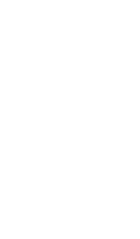 Stylized dragon illustration on transparent background