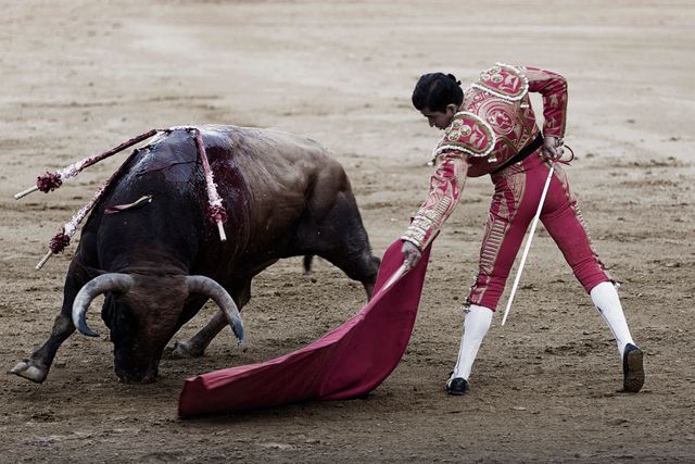 Bullfighter dressed in traditional outfit taunting bull with red cape in arena during Spanish bullfight. Could be used in articles about Spanish traditions, culture, and bullfighting events. Suitable for travel blogs or educational materials discussing unique cultural practices.