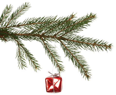 red christmas ornament hanging on transparent pine branch - Download Free Stock Videos Pikwizard.com