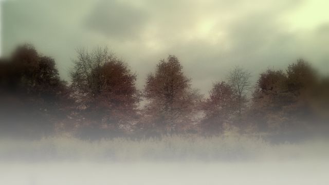 Ideal for use in projects related to nature exploration, seasonal themes, and atmospheric designs. This image creates a serene and mystic ambiance, perfect for backgrounds, wallpapers, and calming visuals in presentations or publications. Also suitable for travel websites, blogs emphasizing tranquility or autumnal beauty.
