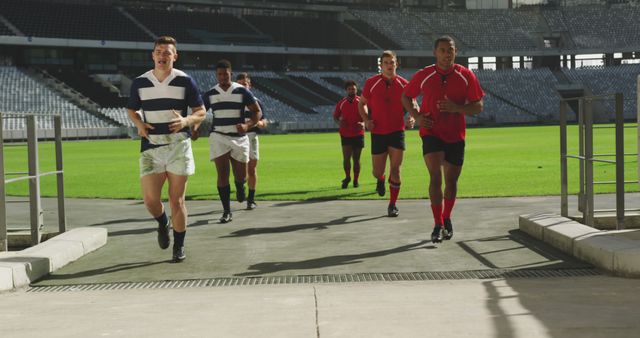 Rugby Players Jogging on Field During Training - Download Free Stock Images Pikwizard.com