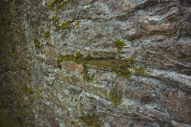 This image shows a close-up view of an old stone wall with patches of moss growing on it. The texture and natural elements make it ideal for use in backgrounds, nature-themed projects, or designs requiring a rustic, weathered look. It can also be used in architectural presentations or historical content.