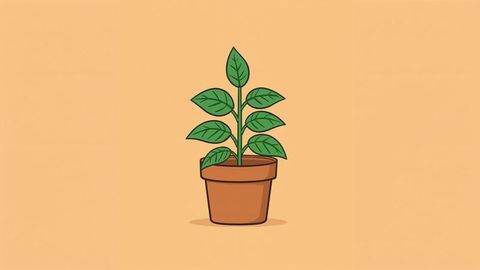 Minimalist potted plant illustration on solid background