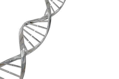 digital dna helix on transparent background symbolizing science - Download Free Stock Videos Pikwizard.com