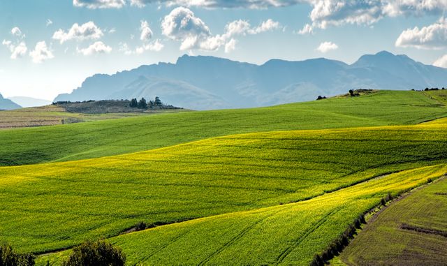 Rolling green hills create a beautiful foreground against a backdrop of distant mountains and a partly cloudy sky. This serene rural scene can be ideal for travel brochures, nature posters, and websites focusing on agriculture, outdoor activities, or environmental conservation.
