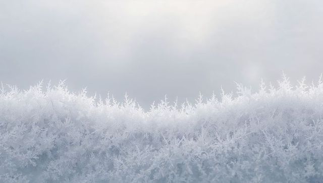 Glistening hoarfrost ridge catching soft overcast light macro dendritic frost texture