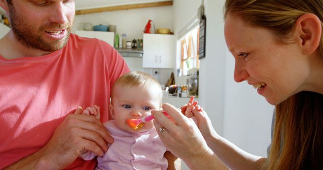 Happy parents feeding baby in bright kitchen with natural light - Download Free Stock Images Pikwizard.com