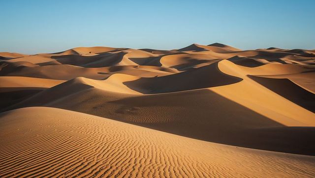 Golden Desert Dunes Stretching with Wind-Sculpted Ripples and Shadowed Crests at Sunrise