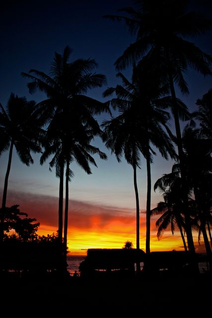 Silhouetted palm trees dominate the foreground, with a breathtaking sunset in the background casting vibrant orange, red, and blue colors across the sky. Simple beach cottages can be seen along the horizon. Perfect for travel brochures, vacation destination promotions, wallpapers, and inspirational social media posts.