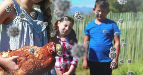 Children and chicken interaction highlighting airborne health risks