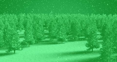 Snowfall over Christmas Tree Forest on Green Tint Background