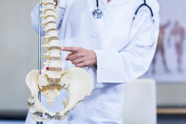 Physiotherapist examining a spine model - Download Free Stock Photos Pikwizard.com