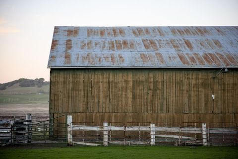 Rustic Barn with Weathered Roof in Serene Countryside