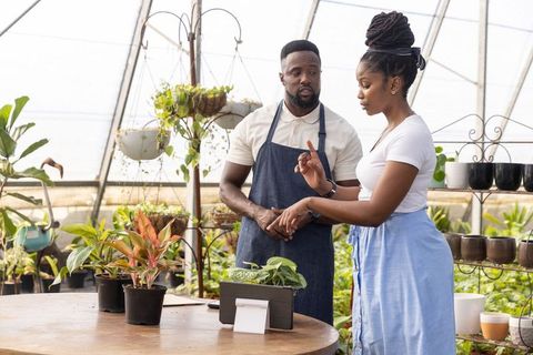 African american staff consulting customer on plant care at greenhouse retail counter