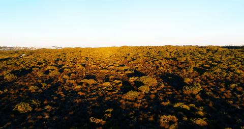 transparent skies over lush hillside at dawn - Download Free Stock Videos Pikwizard.com